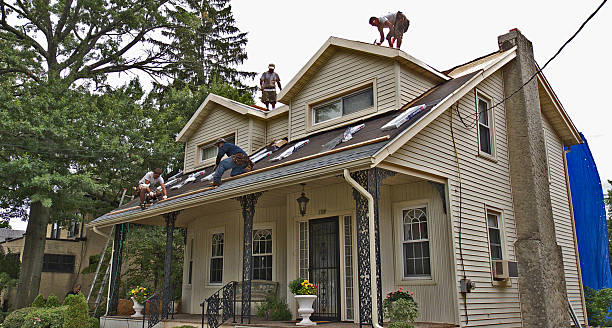 Best Roof Gutter Cleaning  in Bassett, VA