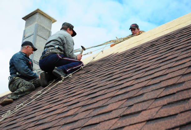 Best Roof Repair Services  in Bassett, VA
